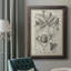 Toile encadrée de qualité supérieure antique noire et blanche botanique VI - prête à être accrochée-73980726