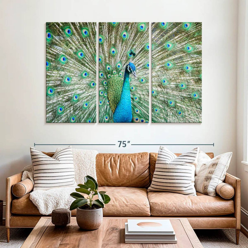 Brampt Peacock Displaying Tail, 42" H x 65" W
