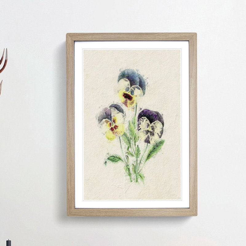Illustration of Wild Pansies - Picture Frame Painting Print, 65cm H x 48cm W x 2cm D, Oak Framed