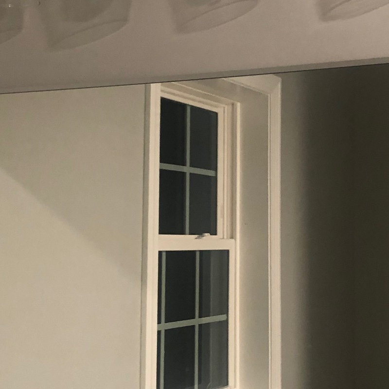 Customer review by Carls