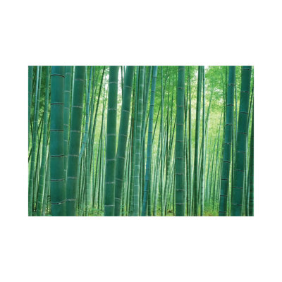 Bamboo Forest, Sagano, Kyoto, Japan by Panoramic Images - Wrapped Canvas Print