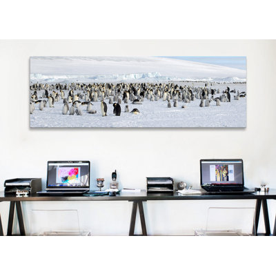 " Emperor Penguins at Snow Hill Island, Antarctica " Print