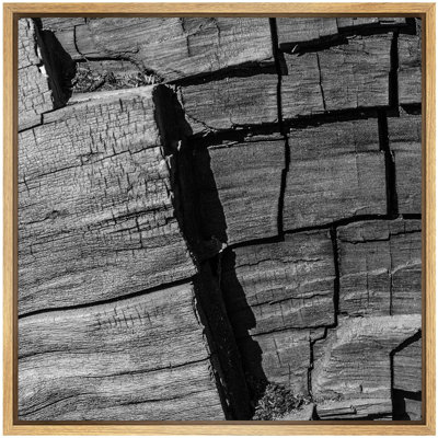" Vintage Drift Wood Grain Tree Bark Nature Plants Photography Rustic Closeup Dark Black And White "