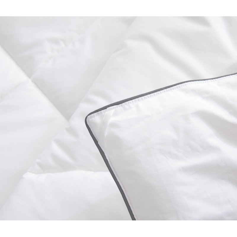 Alexia All Season Microfiber Down Alternative Comforter, Queen