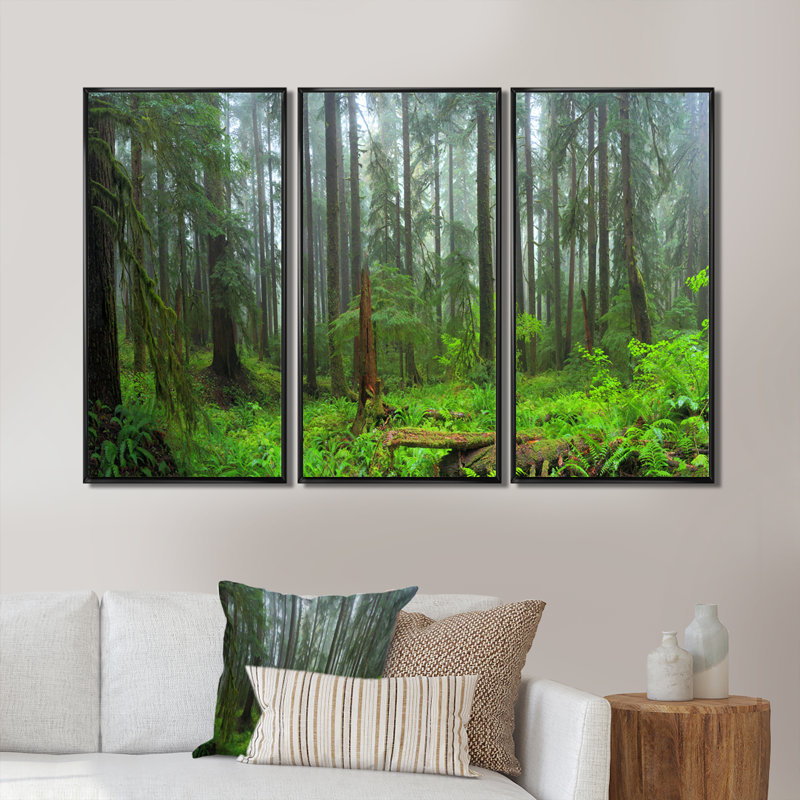 Hoh Rain Forest - 3 pièces, cadre photo flottant sur toile, Noir, H 32 po x l 48 po
