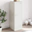Alyda Steel Accent Cabinet-893228395