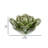 Arciniega Ceramic Desert Flower-569626575-569626574