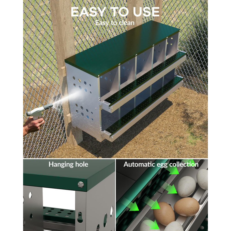 6.84 m² Chicken Coop, Green