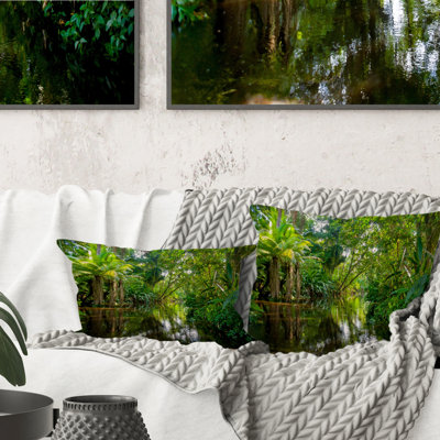 Coussin Trees In Amazon Jungle - Cabin & Lodge