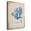 Blue Marine Algae IX, reproduction encadrée de qualité supérieure - prête à être accrochée-88269223-88269224