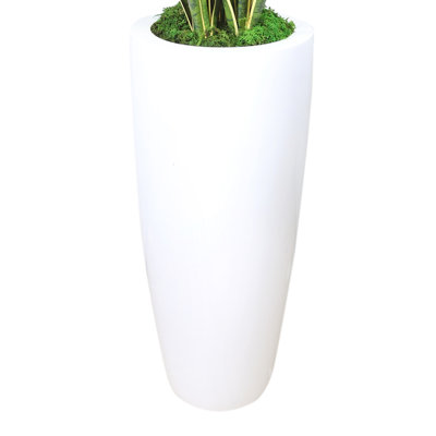 Snake Plant Arranged in a Fiberstone Planter