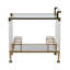 Everly Quinn 32" Lushley Acrylic Drink Cart