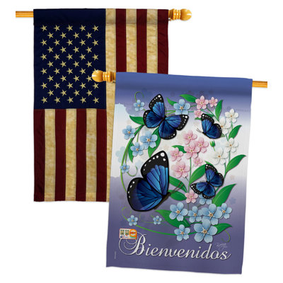 Drapeaux 40 x 28 pi