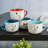 Peanuts 25Oz Soup Bowls W/Lids, 4-Pack