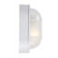 White Outdoor Bulkhead Light