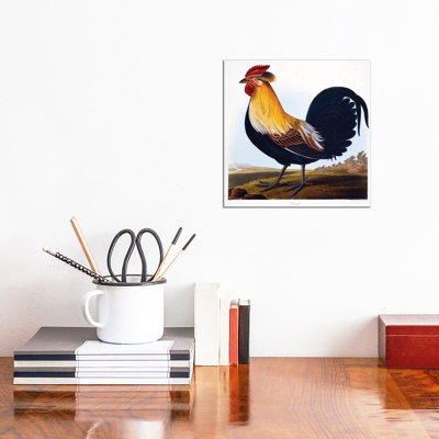 Cock by Charlotte L. E. Perrott - Wrapped Canvas Print