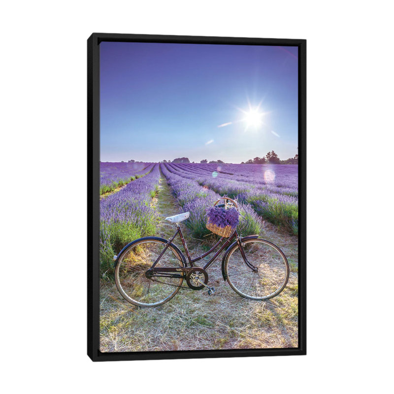 « lavande », impression sur toile, H 26 po x l 18 po x P 1,5 po, Toile avec cadre noir, Pas de tapis