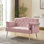 Rose pour deux personnes, dossier et siège, revêtement en velours, pieds dorés en métal, rembourrage en mousse, facile à assembler, espaces de vie modernes 2 places, tissu, pieds dorés, assemblage, appartement convenable, loft