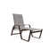 Holna Outdoor Rust-Resistant Metal Chaise Lounge