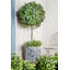 Herrod Fiberglass Planter-48477813