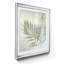 «Soft Leaves III» par J Paul, reproduction d'art sur papier encadrée-520096831-520096826