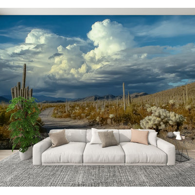 Papier peint auto-adhésif Saguaro Cactus Arizona Landscape