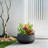 16 in. Slate Gray(Upgraded Interior) Medium Concrete Round Planter/ Pot Indoor & Outdoro Planter Bowl with Drainage Hole-637022504-637032449