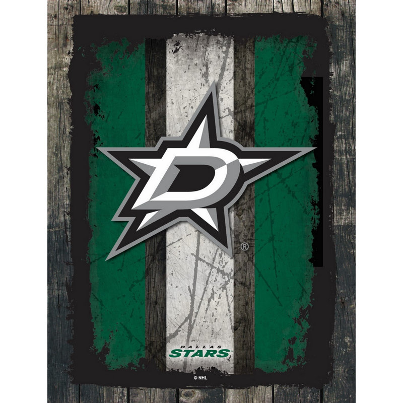 NHL Team Logo, reproduction sur toile tendue, Dallas Stars, H 32 po x l 24 po x p 1 po