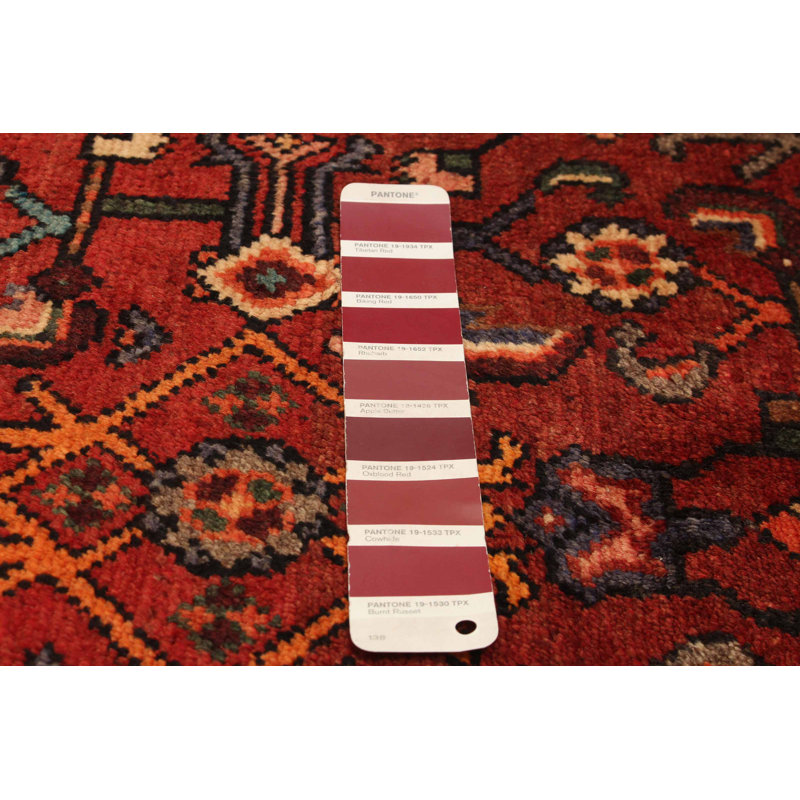 Andelz Red Rug 3'8" x 9'6"
