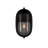 Maritime Outdoor Wall Sconce-106679075