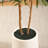 Adcock 72" Artificial Olive Tree with White Planter, Tall Faux Olive Trees with Natural Wood Trunk-1995335717