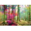Parvez Taj - Wrapped Canvas Print-16671436