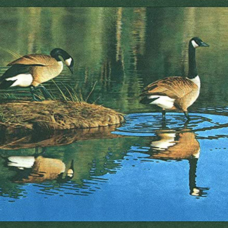 Bordure de papier peint L 15 pi x l 7 po Buena Vista Ducks in Pond Nature