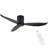 Jassmin 20.47'' Ceiling Fan