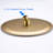 Rain Fixed Shower Head 2.5 GPM GPM-71999126