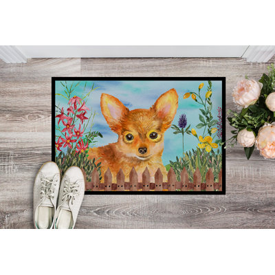 Non-Slip Outdoor Doormat