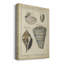 «Vintage Shell Study II», impression sur toile tendue-555870932