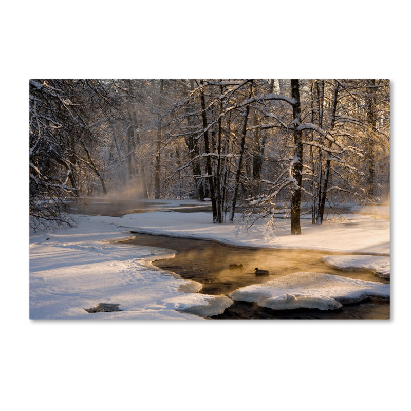 « the first light », reproduction de photo sur toile tendue, H 12 po x l 19 po