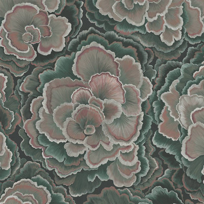 TRAMETES Wallpaper - Carex 9'10" - full height wallpaper