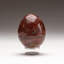 Petrified Wood Egg-124930745-124930765
