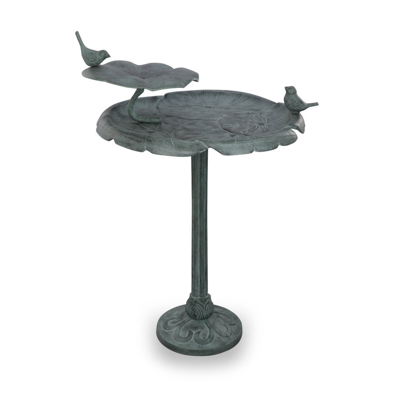 Bird Chat on Lotus Birdbath
