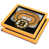 Boston Bruins