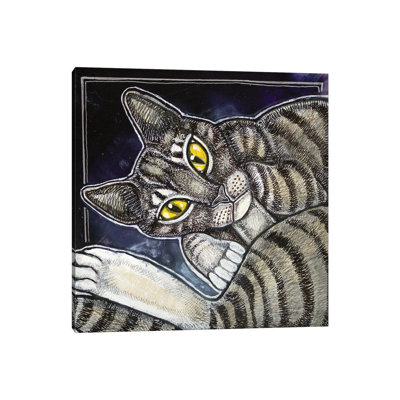 Cat Curl 1 Piece Wrapped Canvas Painting