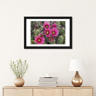 Hérisson cactus en fleurs, Arizona par Tim Fitzharris - impression sur toile tendue