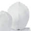 Turtle Shells On Crystal (Set of 2)