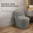 Dual-Flush Elongated One-Piece Toilet (Seat Included)