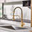 Bolden CASAINC 1.8 GPM Spring Neck Pull Down Kitchen Faucet with Deck Plate-93965531