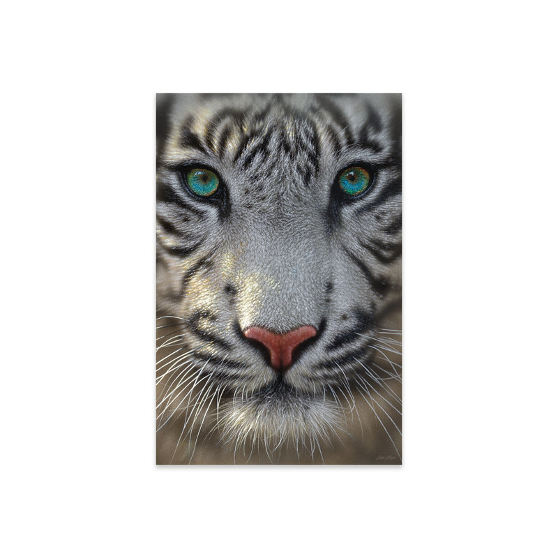 " White Tiger " by Collin Bogle