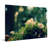 Reproduction d’art sur toile tendue "not sens" par robin-16277297