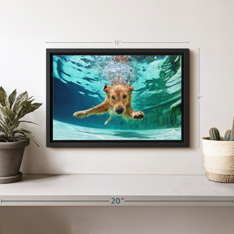 Impression sur toile Golden Retriever Diving, H 9 po x l 13 po